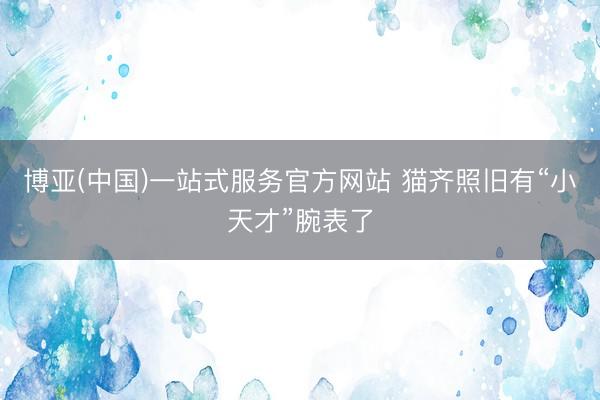 博亚(中国)一站式服务官方网站 猫齐照旧有“小天才”腕表了