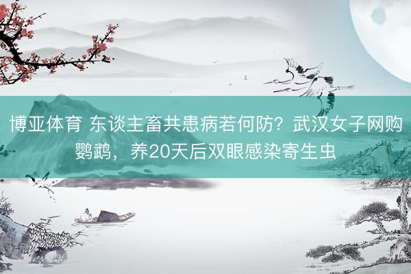 博亚体育 东谈主畜共患病若何防？武汉女子网购鹦鹉，养20天后双眼感染寄生虫