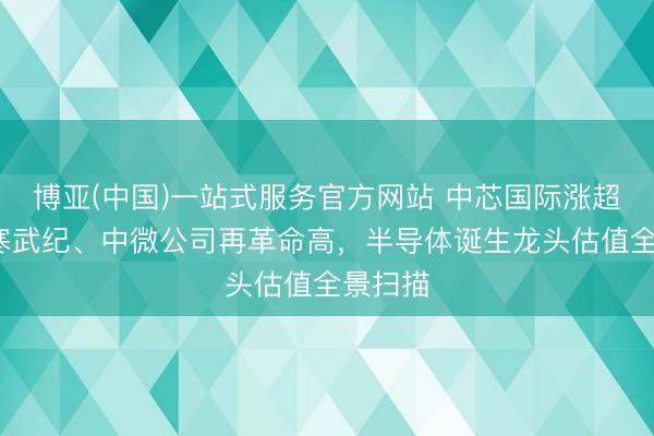 博亚(中国)一站式服务官方网站 中芯国际涨超9%，寒武纪、中微公司再革命高，半导体诞生龙头估值全景扫描