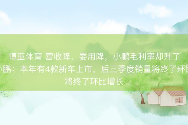 博亚体育 营收降、委用降，小鹏毛利率却升了？何小鹏：本年有4款新车上市，后三季度销量将终了环比增长