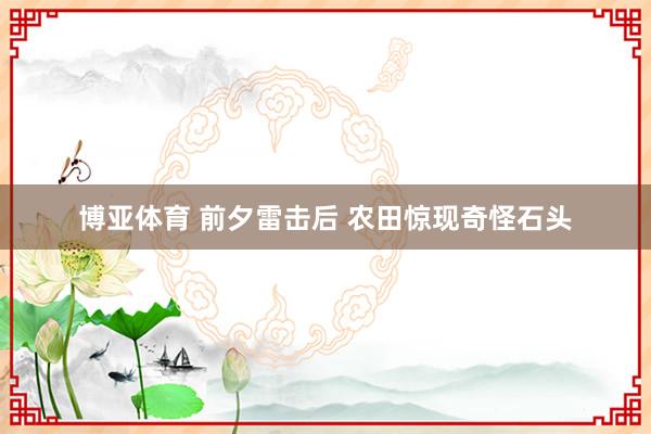 博亚体育 前夕雷击后 农田惊现奇怪石头
